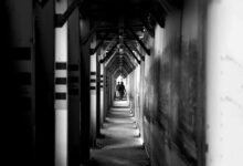 authority framework for vision