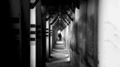 authority framework for vision