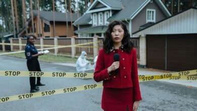 ip activity reports summary