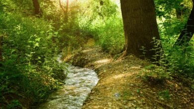 nova flow growth strategy