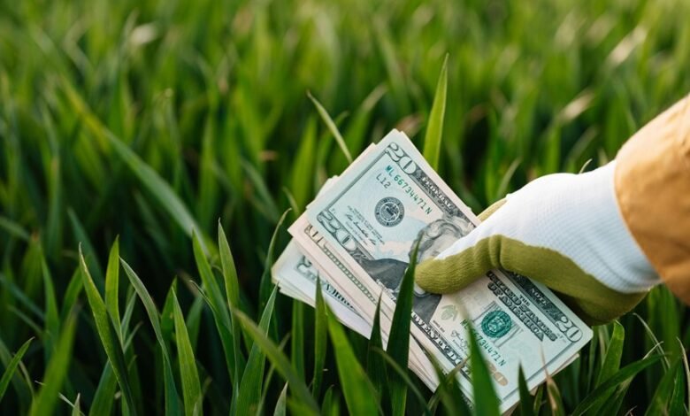 strategic dynamic growth architecture