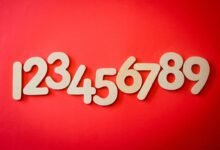 why 8393597031 matters today