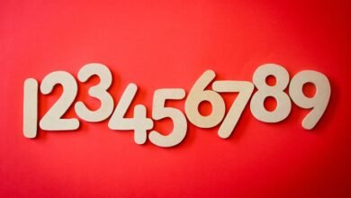 why 8393597031 matters today